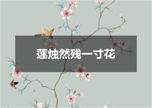 莲烛然残一寸花
