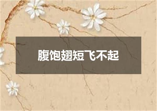 腹饱翅短飞不起