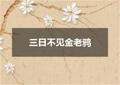 三日不见金老鸦