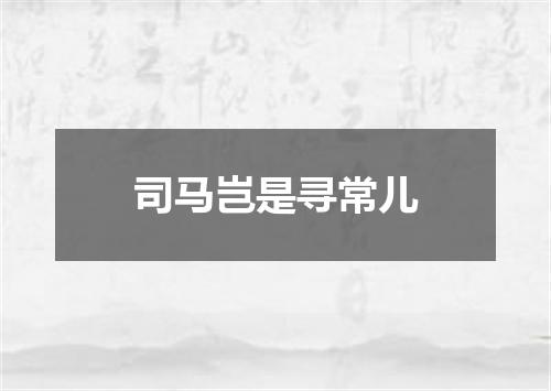 司马岂是寻常儿