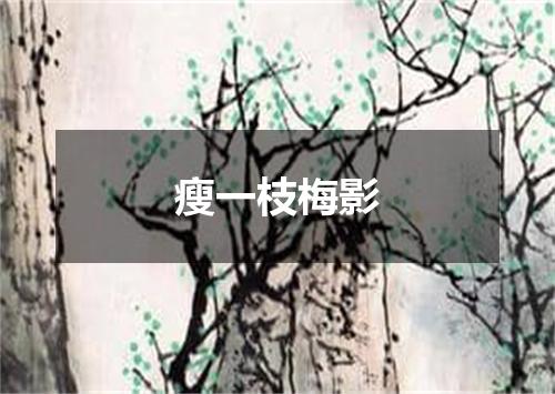 瘦一枝梅影