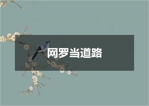 网罗当道路