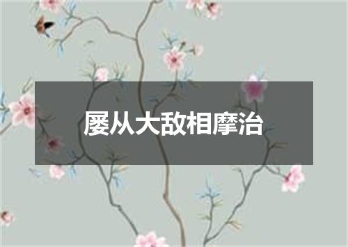 屡从大敌相摩治