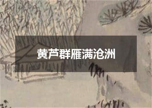 黄芦群雁满沧洲