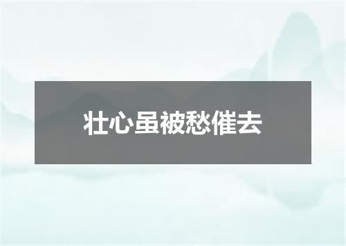 壮心虽被愁催去