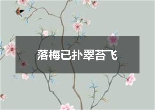 落梅已扑翠苔飞