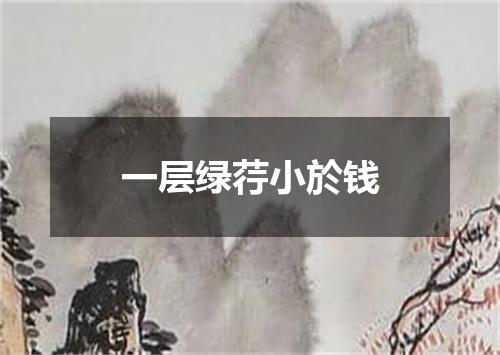 一层绿荇小於钱