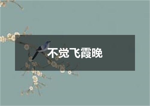 不觉飞霞晚