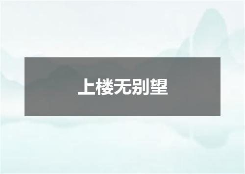 上楼无别望