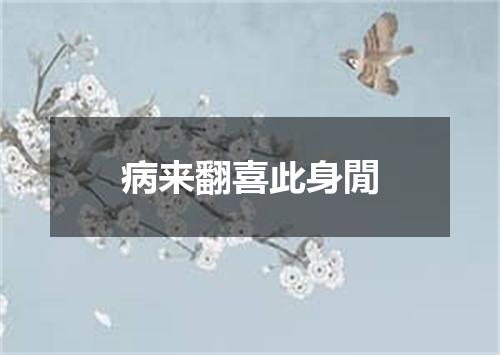 病来翻喜此身閒