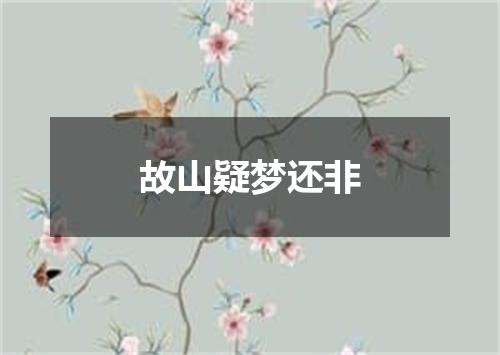 故山疑梦还非
