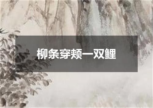 柳条穿颊一双鲤