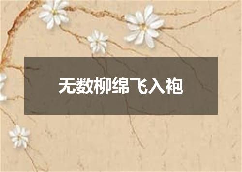 无数柳绵飞入袍