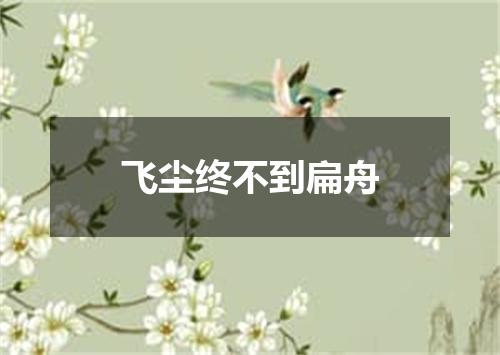 飞尘终不到扁舟