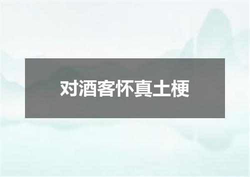 对酒客怀真土梗