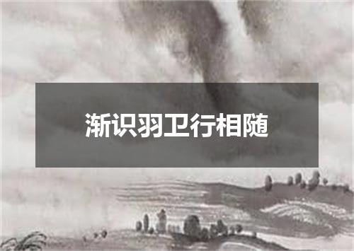 渐识羽卫行相随