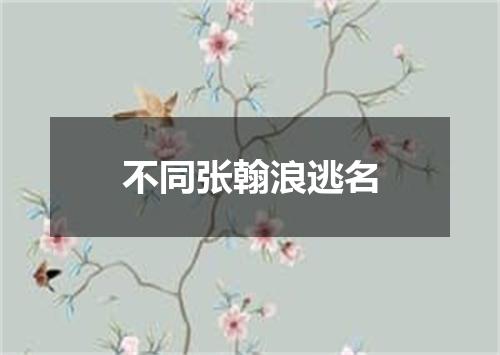 不同张翰浪逃名