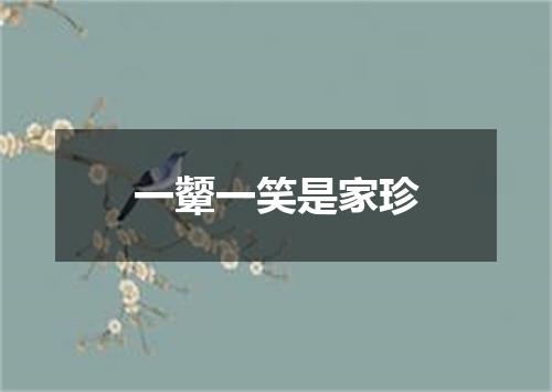 一颦一笑是家珍