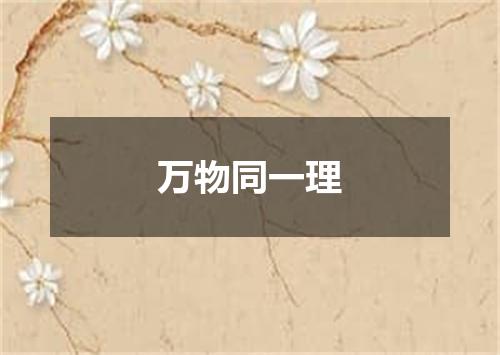 万物同一理
