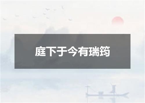 庭下于今有瑞筠