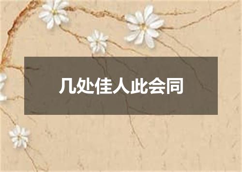 几处佳人此会同
