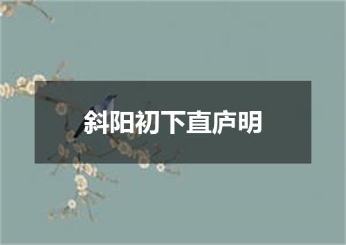 斜阳初下直庐明