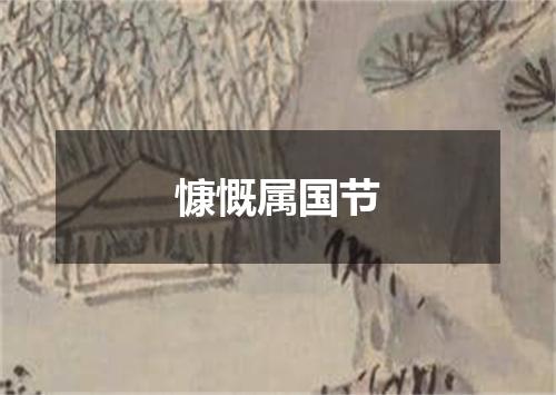 慷慨属国节