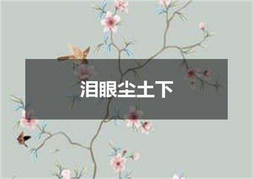 泪眼尘土下
