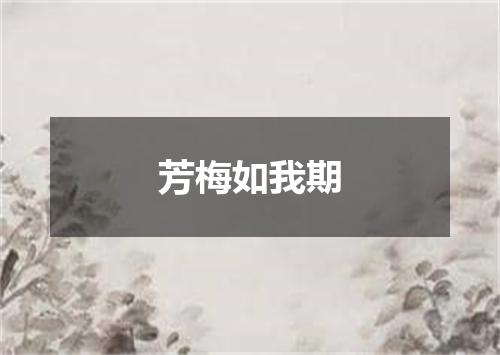 芳梅如我期