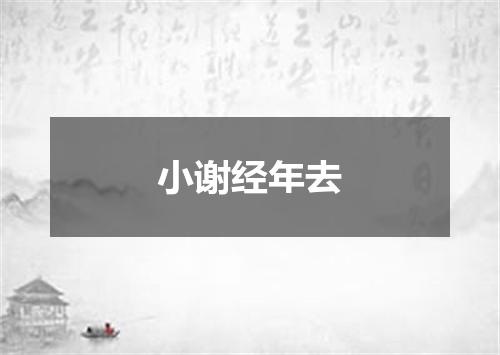 小谢经年去