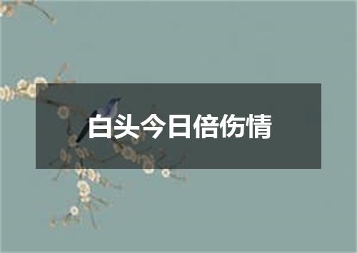 白头今日倍伤情