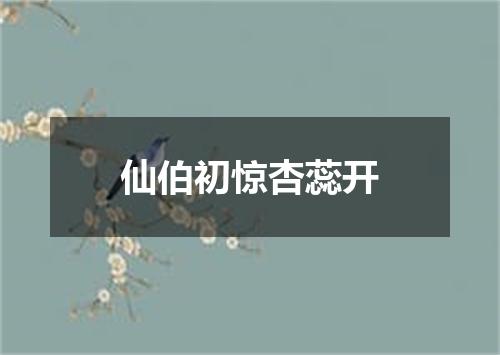 仙伯初惊杏蕊开