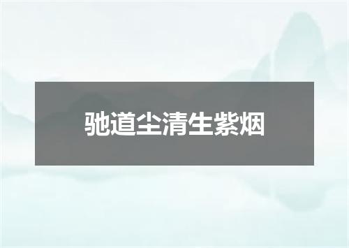 驰道尘清生紫烟