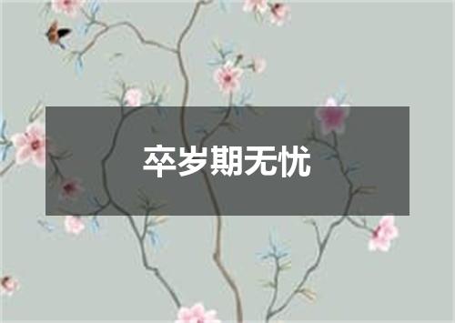 卒岁期无忧