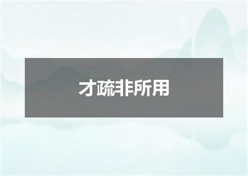 才疏非所用