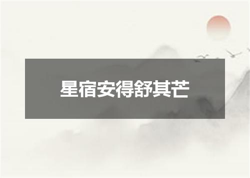 星宿安得舒其芒