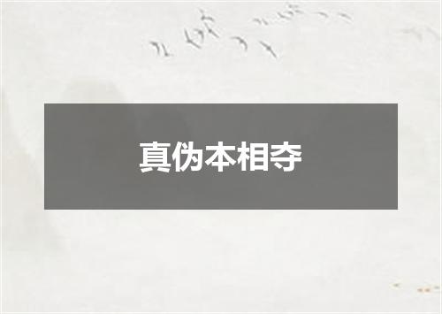 真伪本相夺