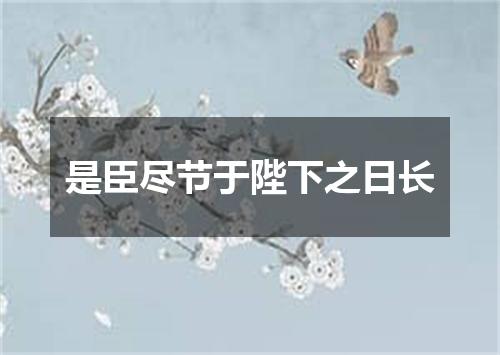是臣尽节于陛下之日长