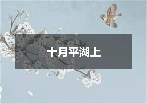 十月平湖上