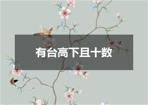 有台高下且十数