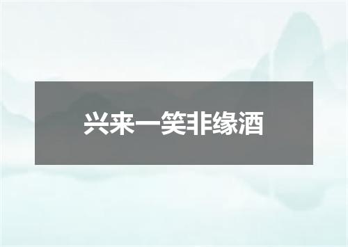 兴来一笑非缘酒
