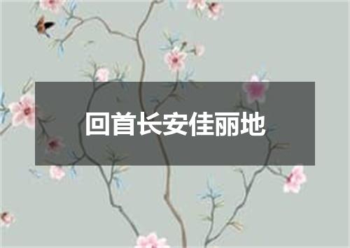 回首长安佳丽地