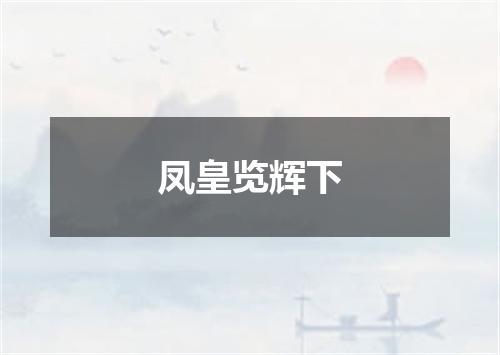 凤皇览辉下
