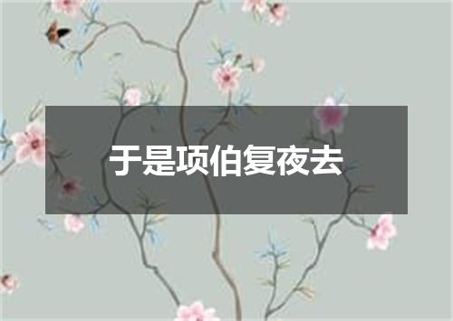 于是项伯复夜去