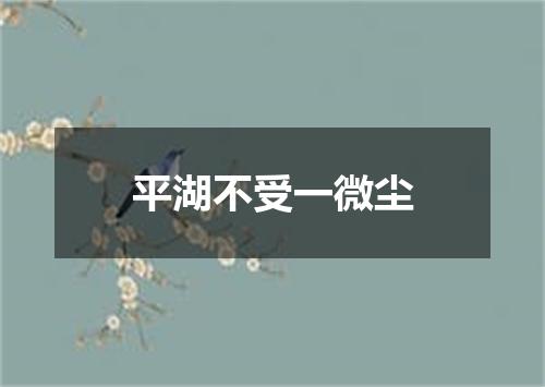 平湖不受一微尘