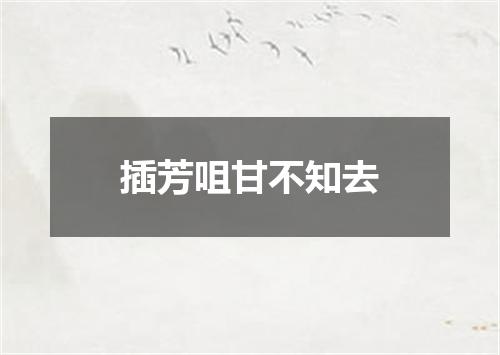 插芳咀甘不知去