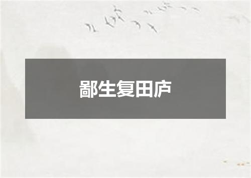 鄙生复田庐
