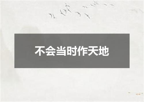 不会当时作天地