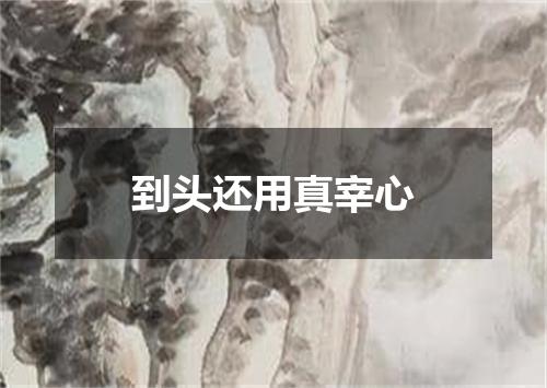 到头还用真宰心