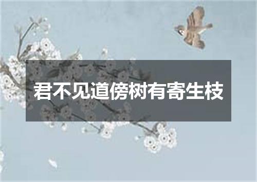 君不见道傍树有寄生枝